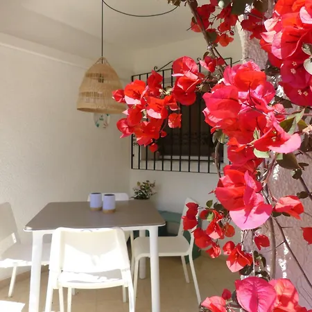 Little Oasis Apartment Dénia